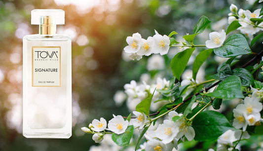 ΤΟVΛ® Signature Eau de Parfum available on QVC!
