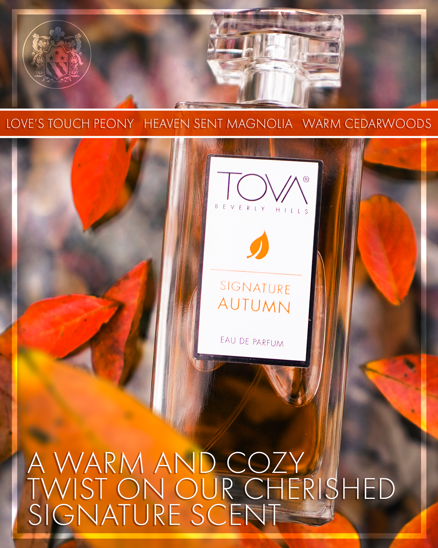 Autumn Collection – TOVA Beverly Hills Autumn Collection – TOVA Beverly Hills
