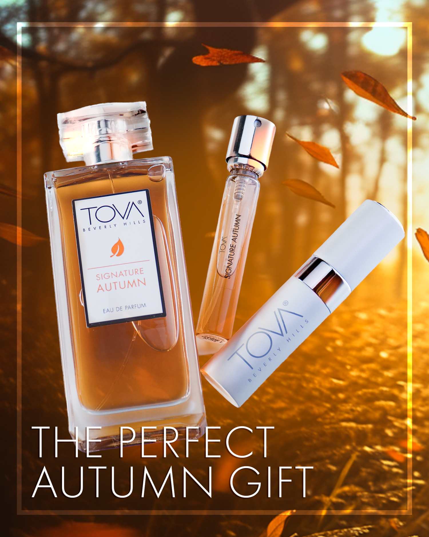 Autumn Collection – TOVA Beverly Hills Autumn Collection – TOVA Beverly Hills