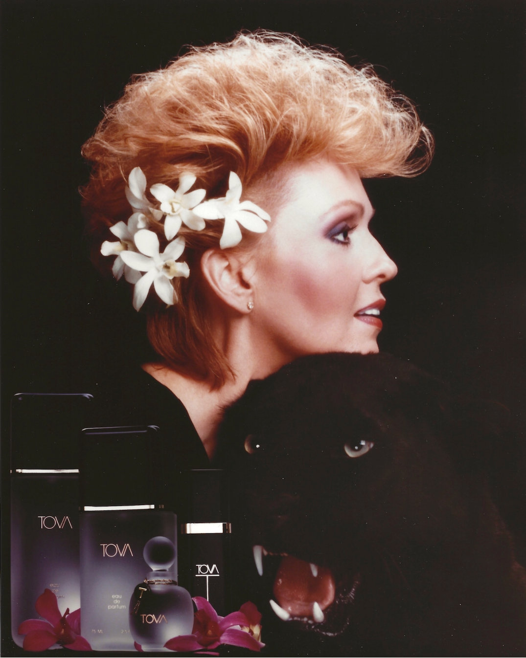 TOVA Beverly Hills Fragrance Gift Collections