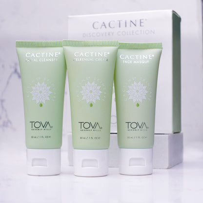 Cactine Discovery Trio Collection